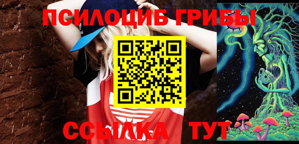 закладка  Галлюциногенные грибы Magic Shrooms  Вход с VPN  Похвистнево 
