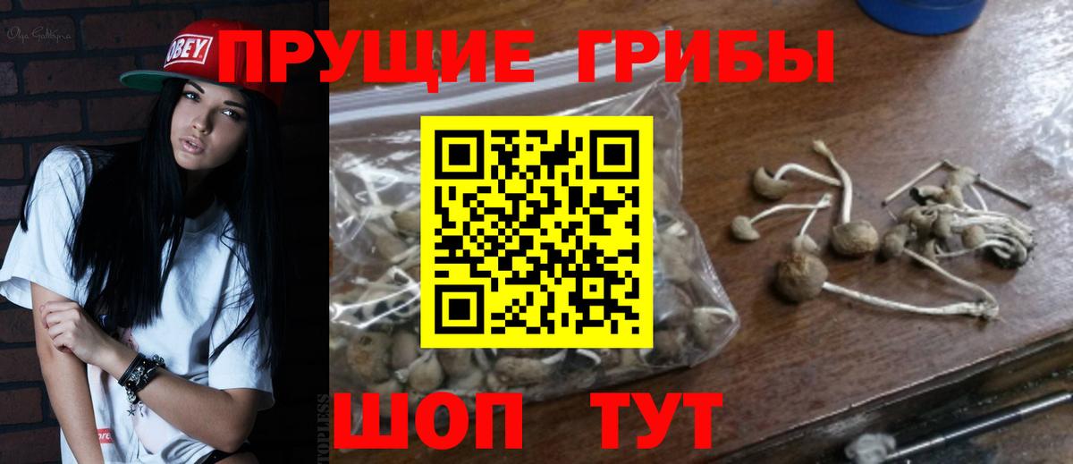 Галлюциногенные грибы Cubensis Похвистнево